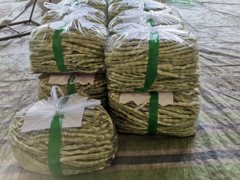 辽宁锦州北镇豆角冷棚高温棚长白豆角，质量好
