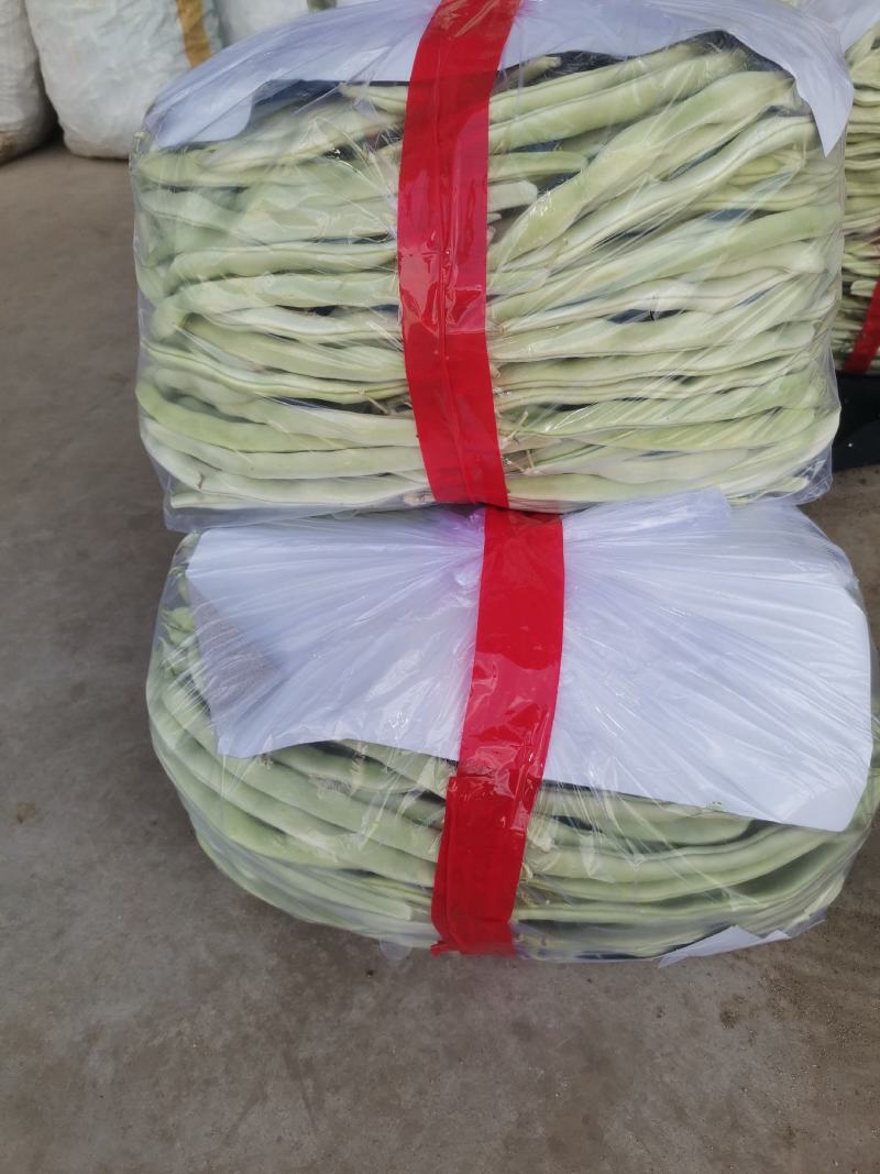 辽宁锦州北镇豆角冷棚高温棚长白豆角，质量好