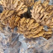 周口大黄姜产地批发，一手货源，质量优，全国发货