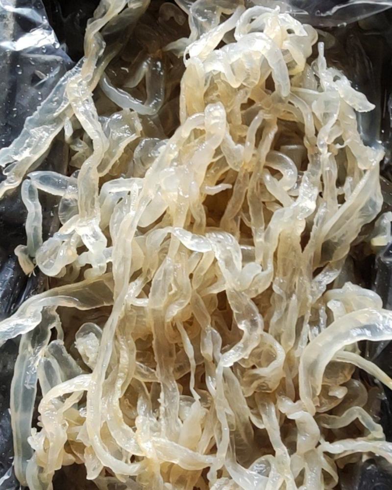 【精品】海蜇头，海蜇皮，海蜇丝批发且加工一手货源，质