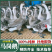 马冈鹅苗阳江鹅苗【货到付款\企业认证放心苗】