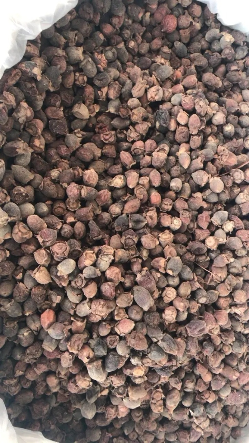捻子捻子干一蒸一晒捻子干新货支持线上交易量大从优