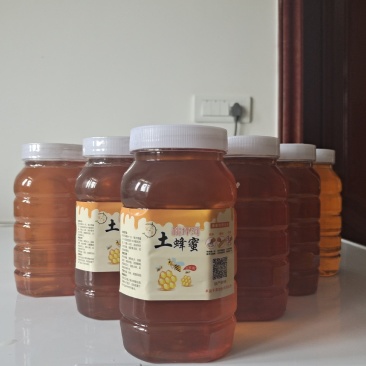 高山土蜂蜜