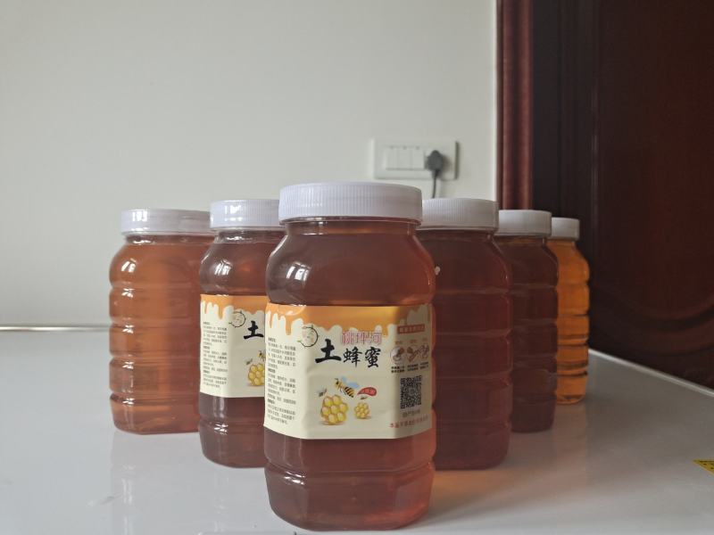 高山土蜂蜜