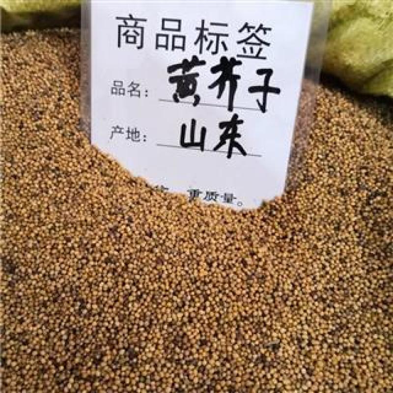 黄芥子，芥子质量保证现货供应欢迎咨询合作！