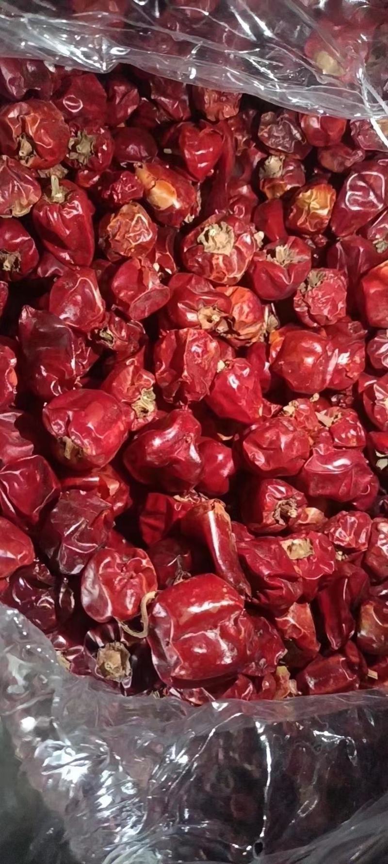 大个头灯笼椒批发，产地销售一手货源，自然烘干辣椒干