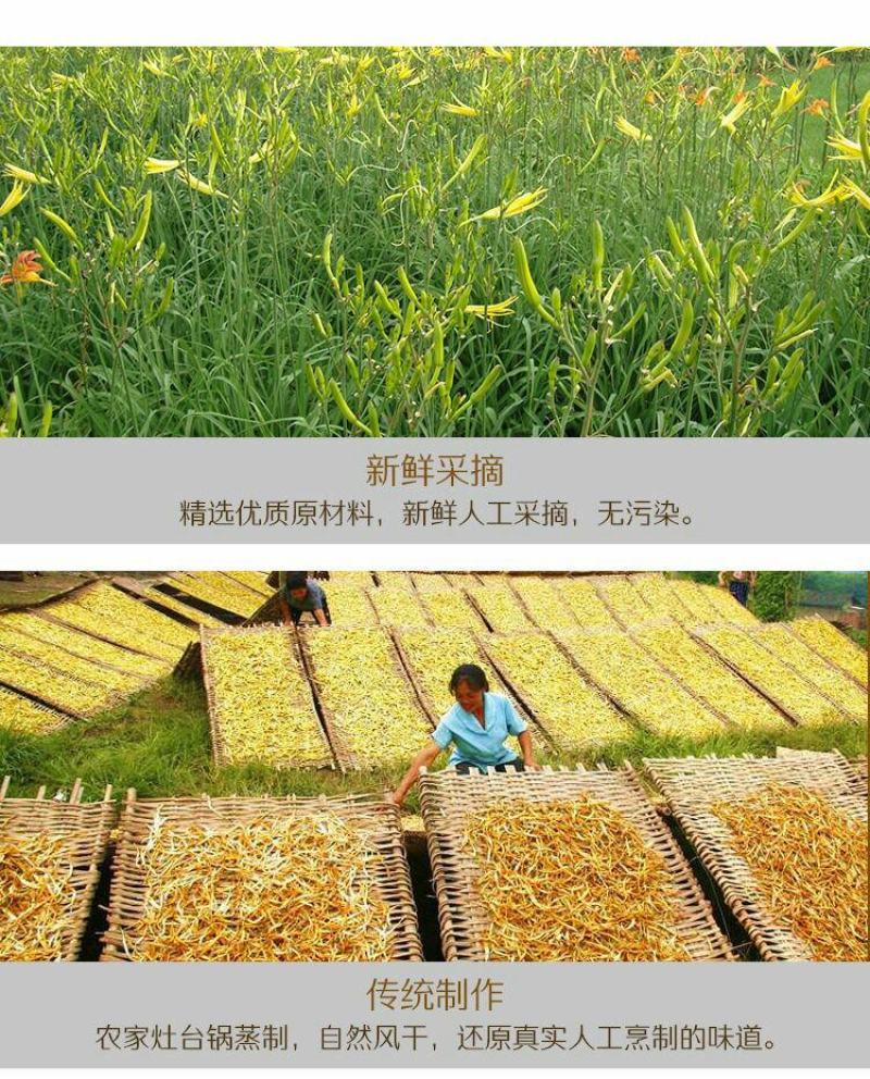今年全新亏本充量新黄花菜干农家自晒纯手工蒸制无硫磺A全干