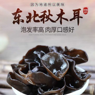 东北新货野生黑木耳椴木耳小碗耳秋木耳干货肉厚无根包邮