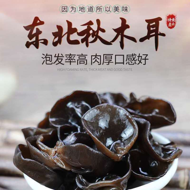东北新货野生黑木耳椴木耳小碗耳秋木耳干货肉厚无根包邮