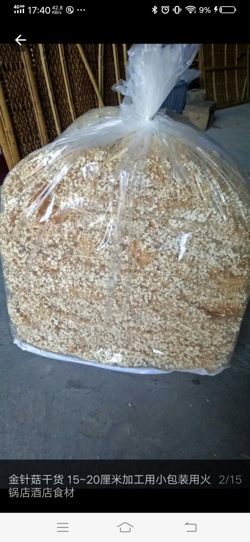 金针菇干货15~20厘米加工用小包装用火锅店酒店食材