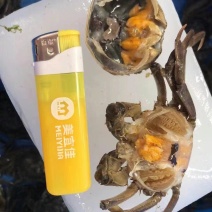 河蟹