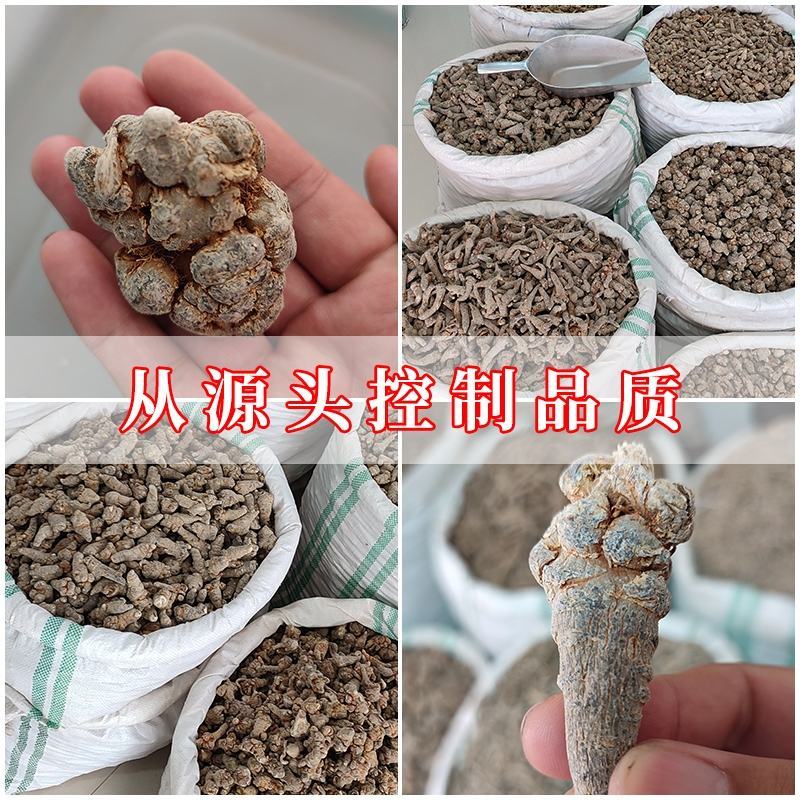 三七中药材三七无硫无添加经营各种规格免费磨粉
