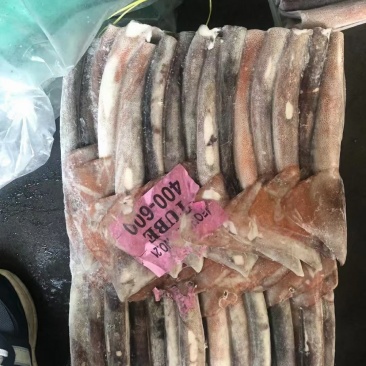 阿鱿筒去头去肚400/600鱿的身