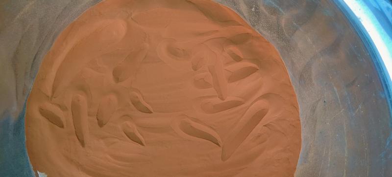 高山海金沙深山老林的野生海金沙无任何杂质超细手工过滤