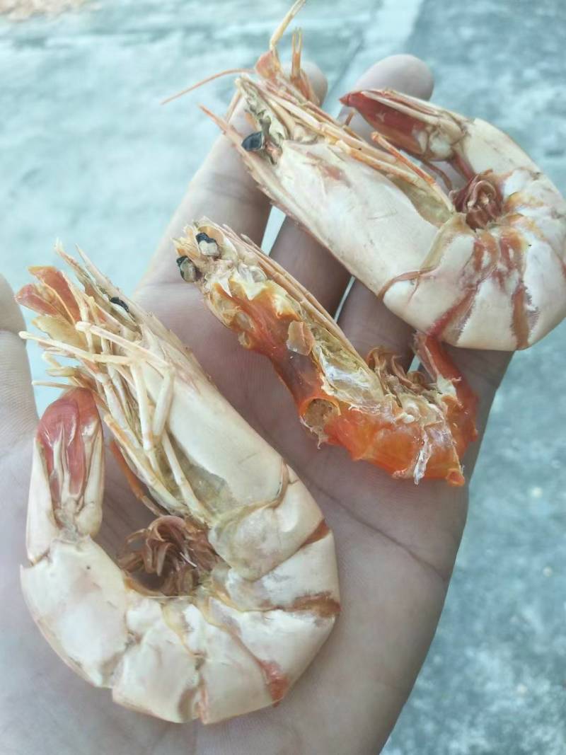 虾干即食虾干海虾干本地渔民自晒