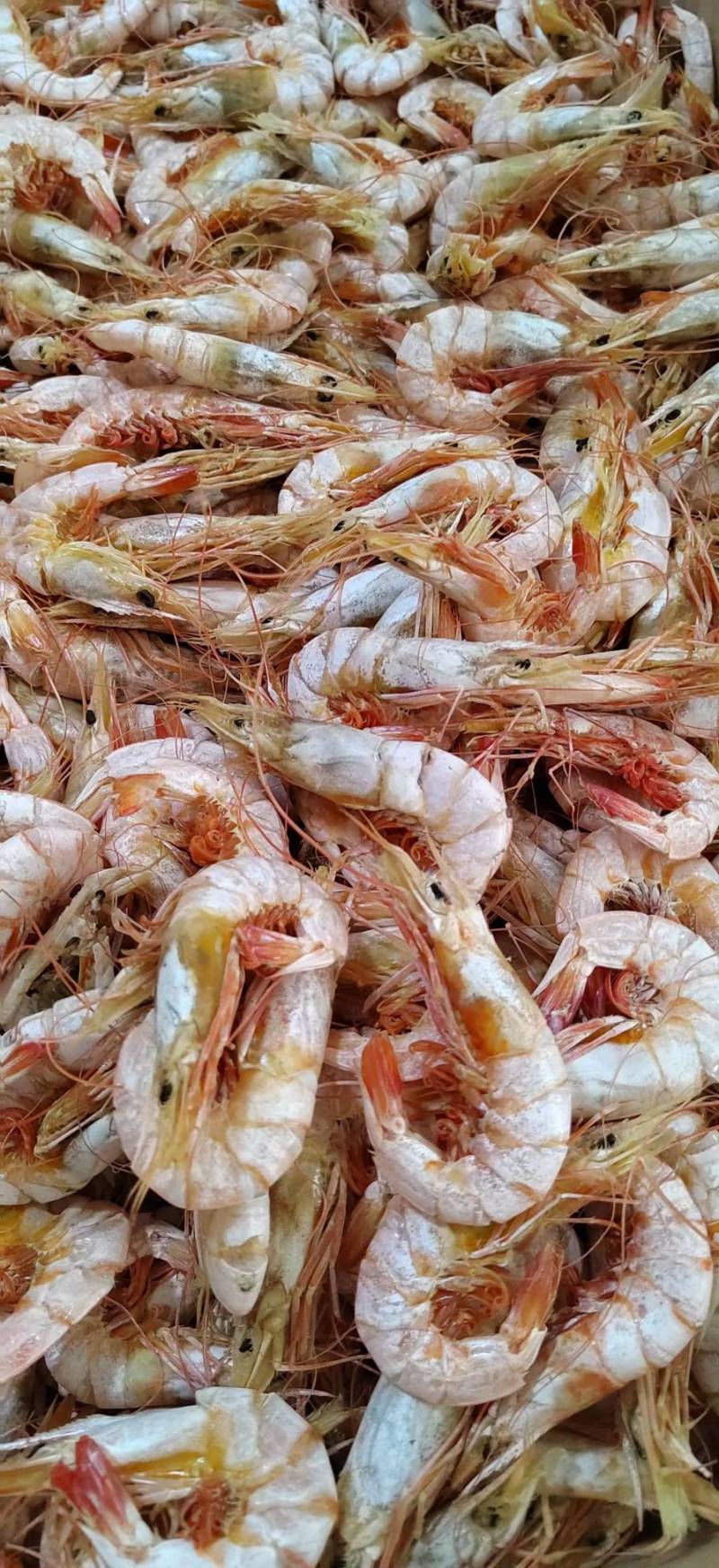 虾干即食虾干海虾干本地渔民自晒