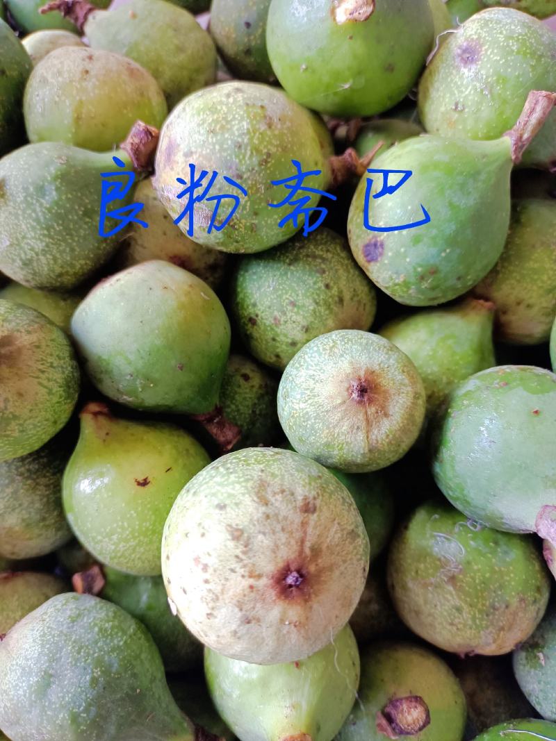 木莲籽，爱玉籽，薜荔籽，凉粉籽，手搓自然成形，产地直供