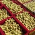 【精品推荐】包邮大荔冬枣5斤装产地直发一件代特价优惠