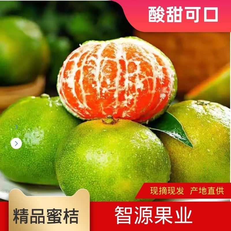 【蜜桔】云南柑橘蜜橘现摘现发一手货源欢迎新老客户前来订购