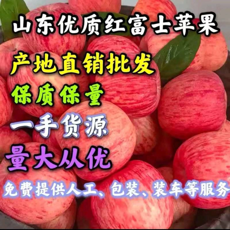 山东苹果批发货源充足品种齐全质量保证