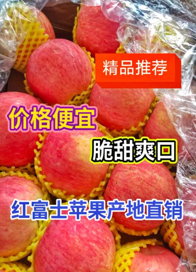 山东苹果批发货源充足品种齐全质量保证
