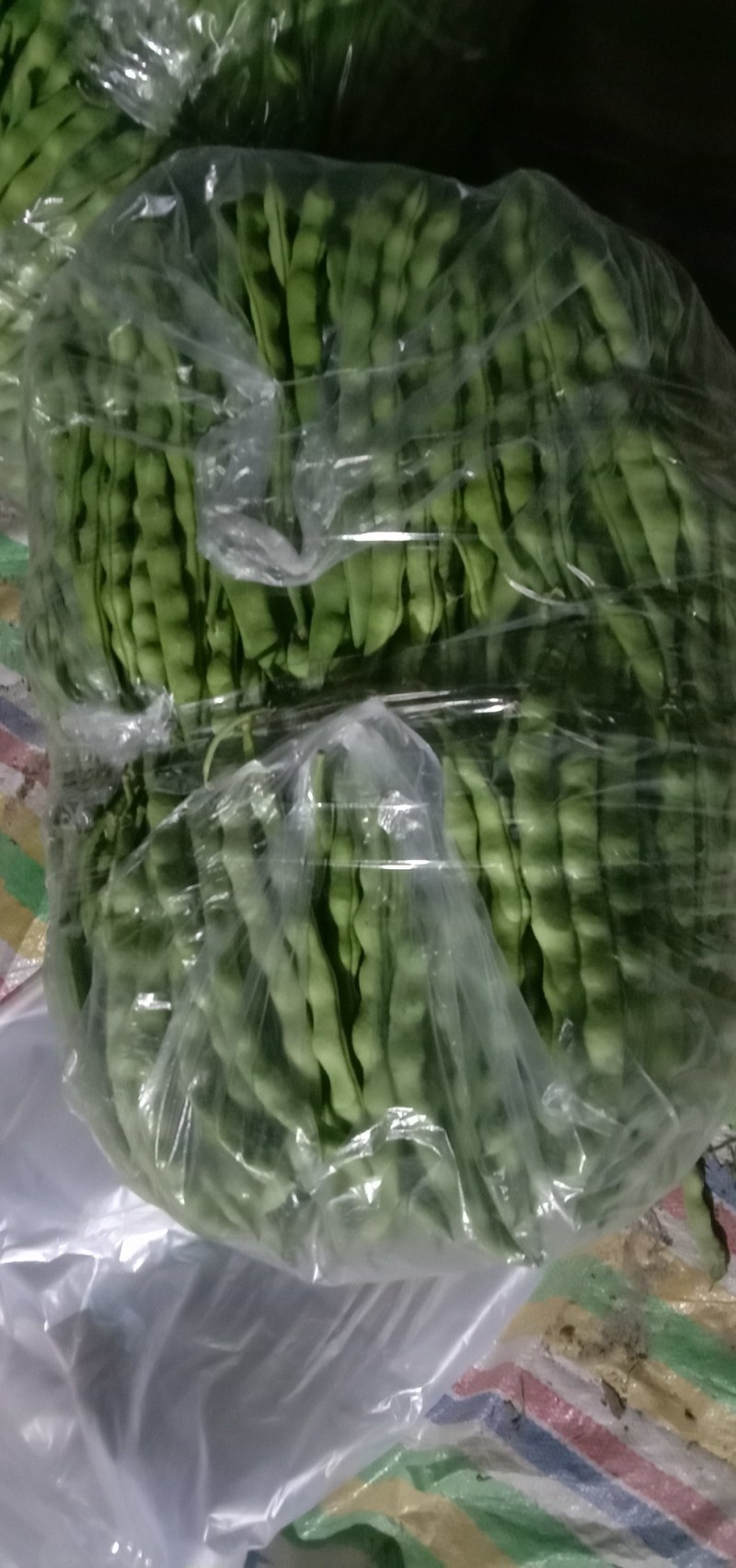 云南，大青豆，无筋豆，上市，需要联系，