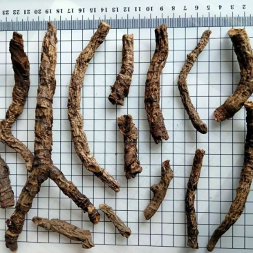 盘龙七中药材干货干净无杂质量大从优