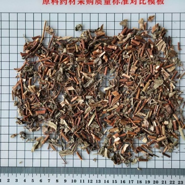 元宝草干货常年经营各种中药材！