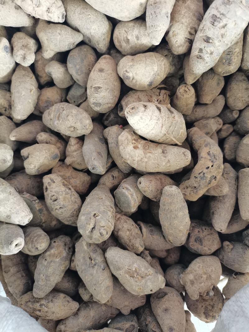莪术(包邮)，3斤起批，零售量大从优，