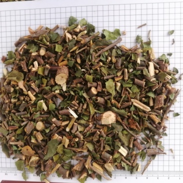 桑寄生(包邮)，3斤起批，零售量大从优