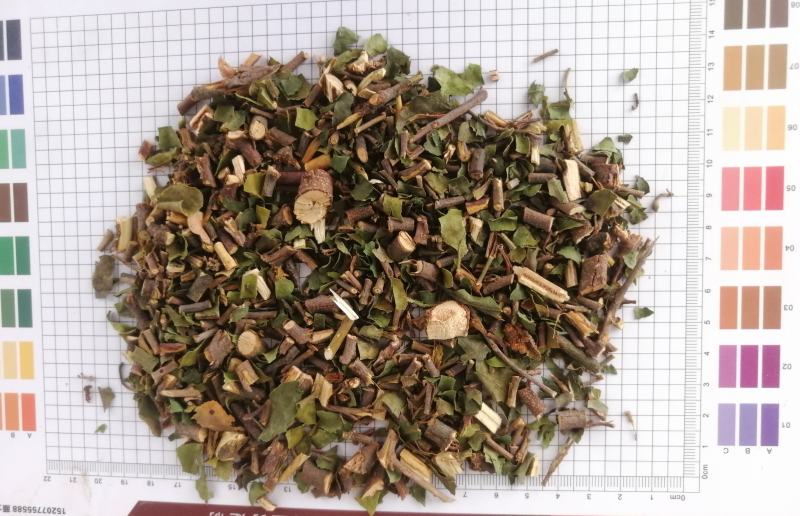 桑寄生(包邮)，3斤起批，零售量大从优