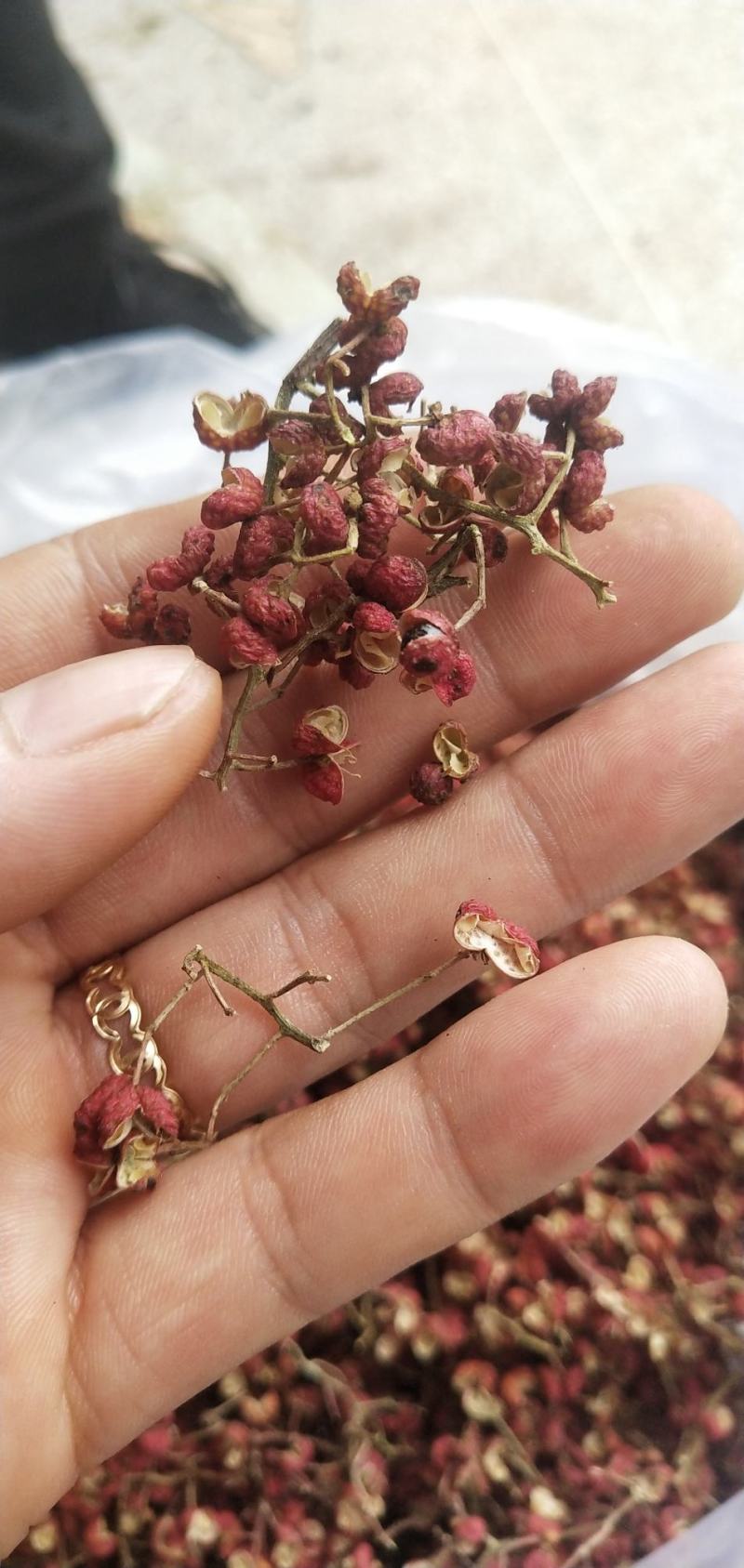 大红袍花椒量大