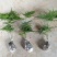 文竹办公室桌面小植物迷你盆栽四季常青植物防电脑辐射
