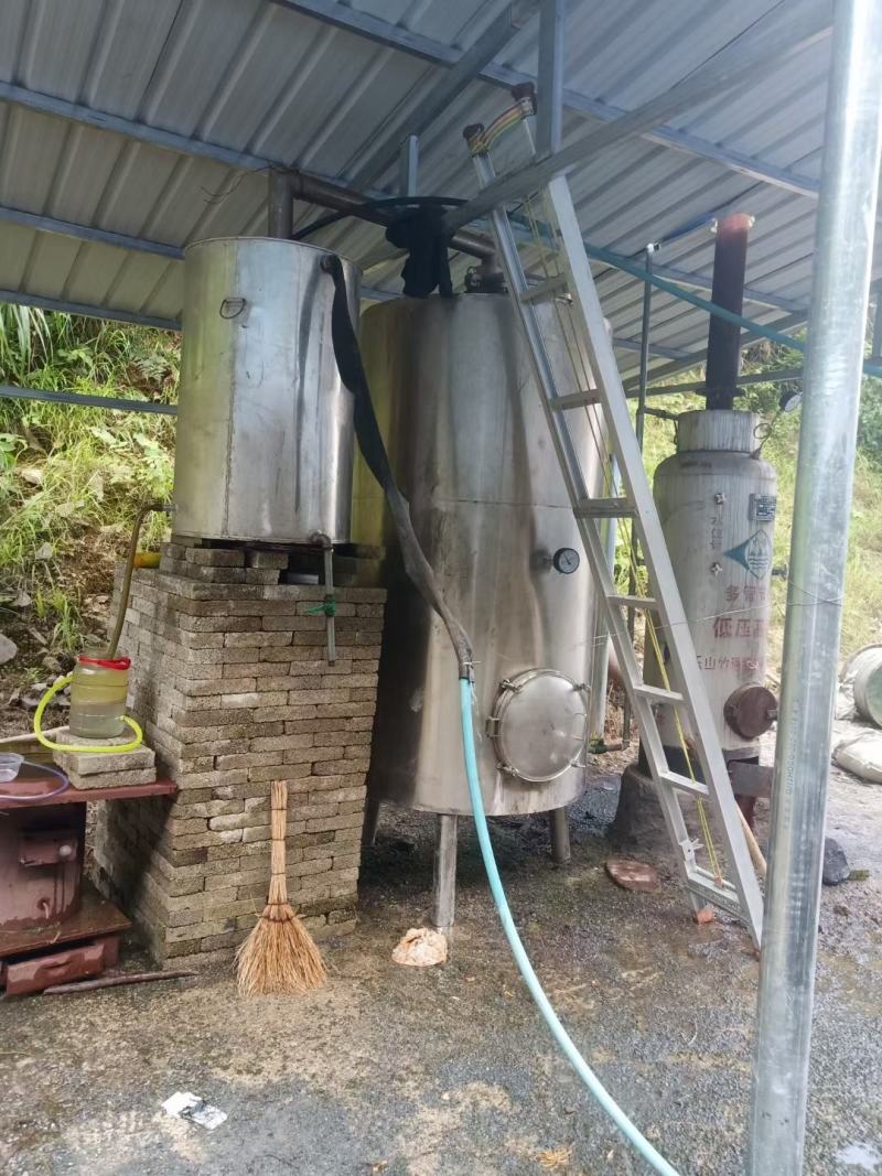 缬草根宽叶缬草油根白花缬草油根满山香根供应基地大货批发