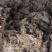 缬草根宽叶缬草油根白花缬草油根满山香根供应基地大货批发