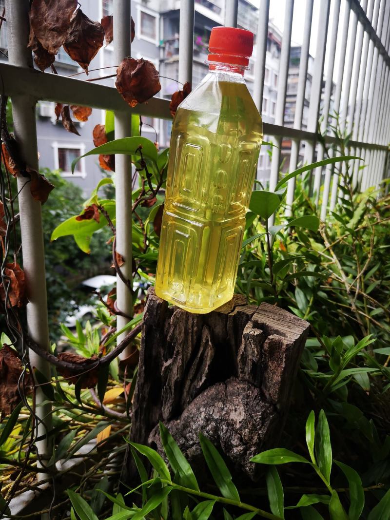 缬草油满山香油供应缬草精油库存量大够你卖几年的缬草精油