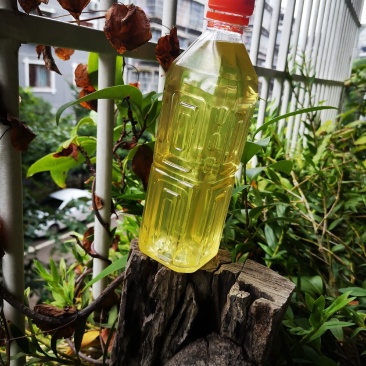 缬草油满山香油供应缬草精油库存量大够你卖几年的缬草精油