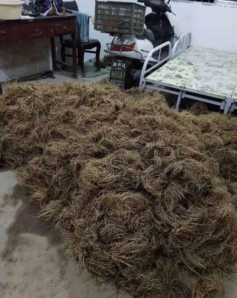 缬草油满山香油供应缬草精油库存量大够你卖几年的缬草精油