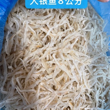 银鱼干日晒鱼干淡水银鱼
