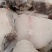 【无冰衣】鳕鱼中段鳕鱼进口深海鳕鱼新鲜冷冻海鲜