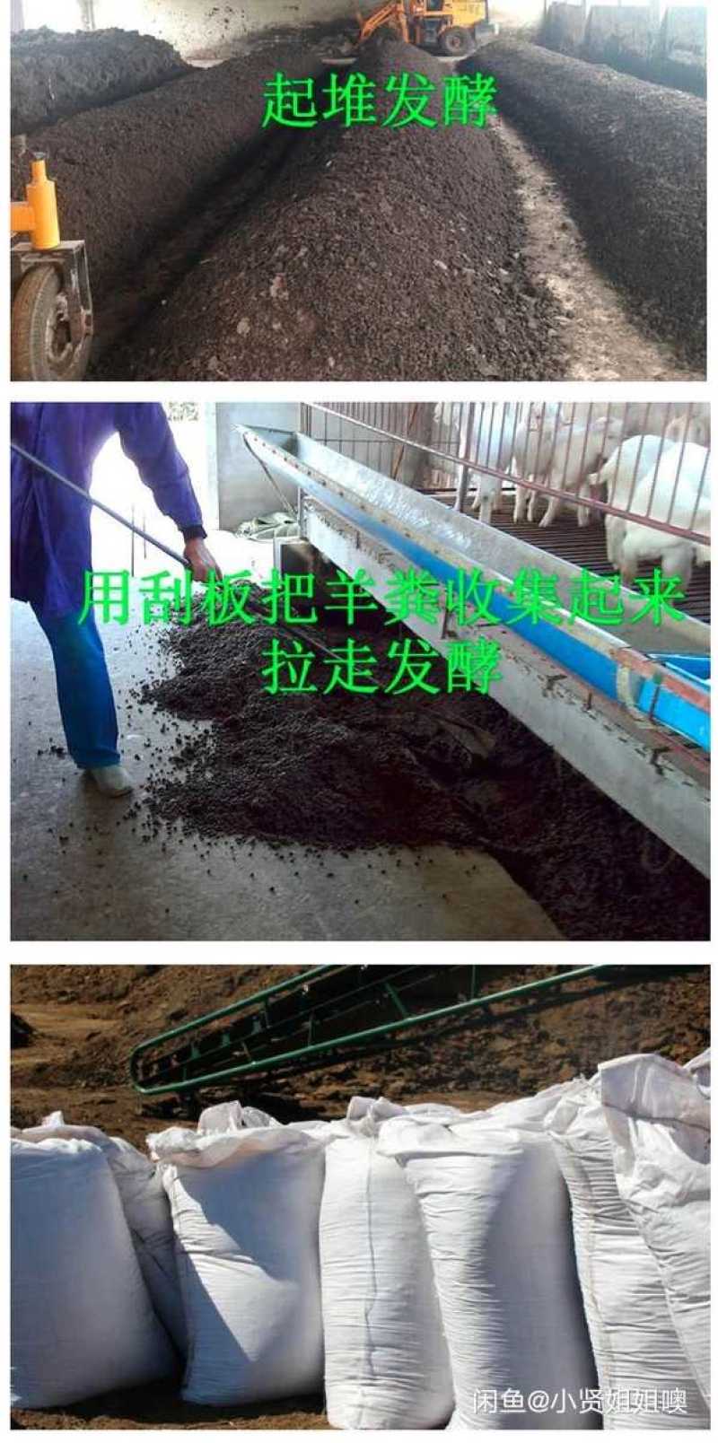 发酵羊粪需要联系我大量批发零售