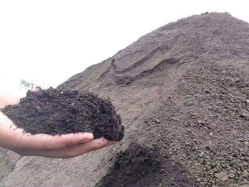 发酵羊粪需要联系我大量批发零售