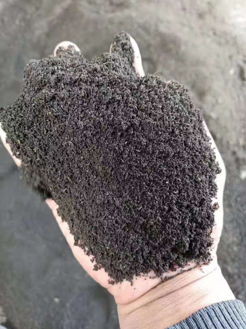 发酵羊粪需要联系我大量批发零售
