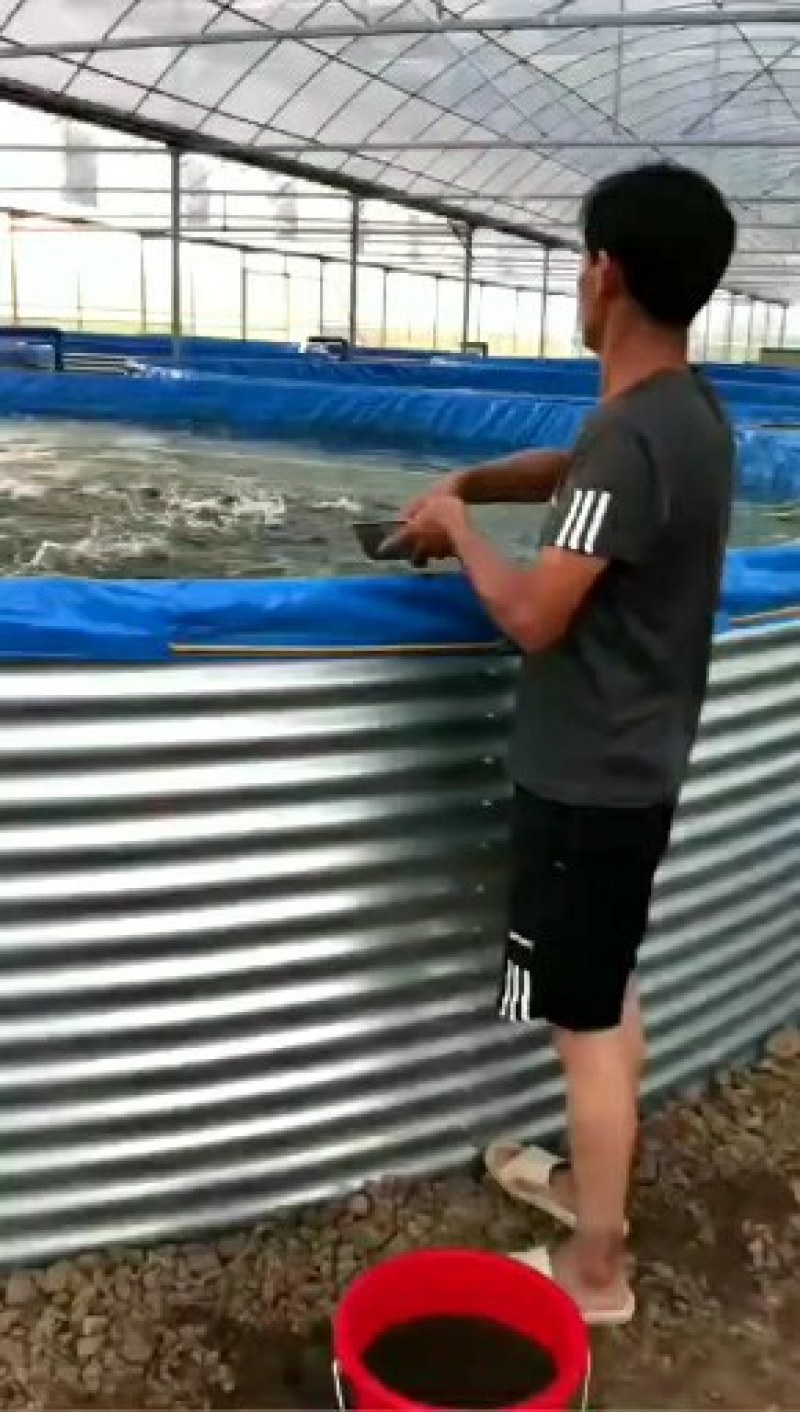 生态养殖镀锌板高密度帆布池，种植养殖镀锌板蓄水池厂家直销