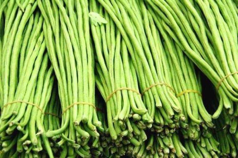 豆角大量上市地头热批中，需要的新老客户请莅临指导合作。谢
