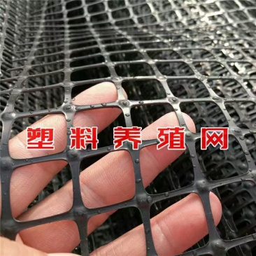 养殖围网，圈玉米，围鸡鸭鹅