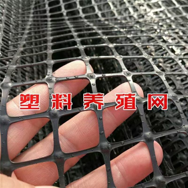 养殖围网，圈玉米，围鸡鸭鹅