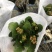 长寿花基地直供大量有货，欢迎选购价格实惠颜色多批发