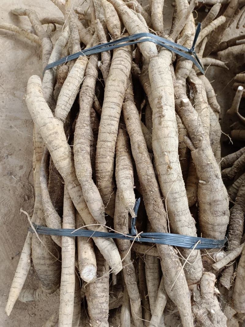 牛大力统货味道甘甜全国发货，规格齐全质量保证欢迎咨询