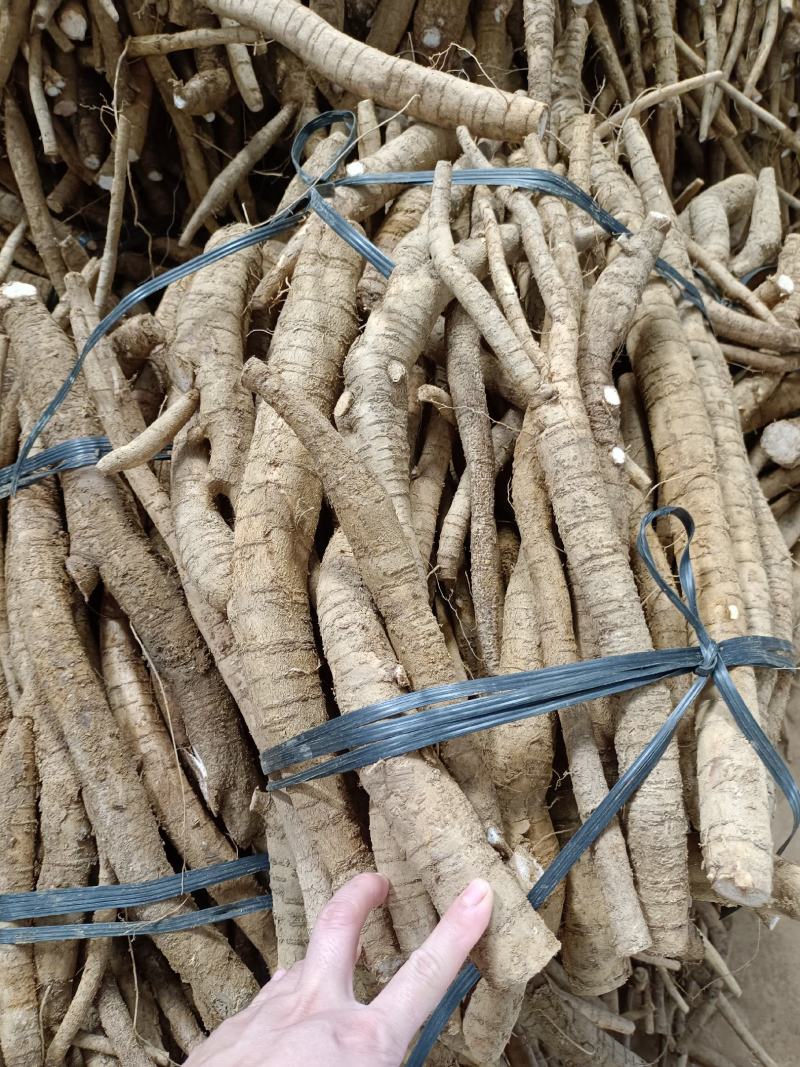 牛大力统货味道甘甜全国发货，规格齐全质量保证欢迎咨询